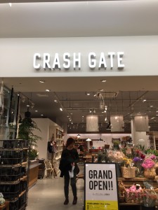 crash gate